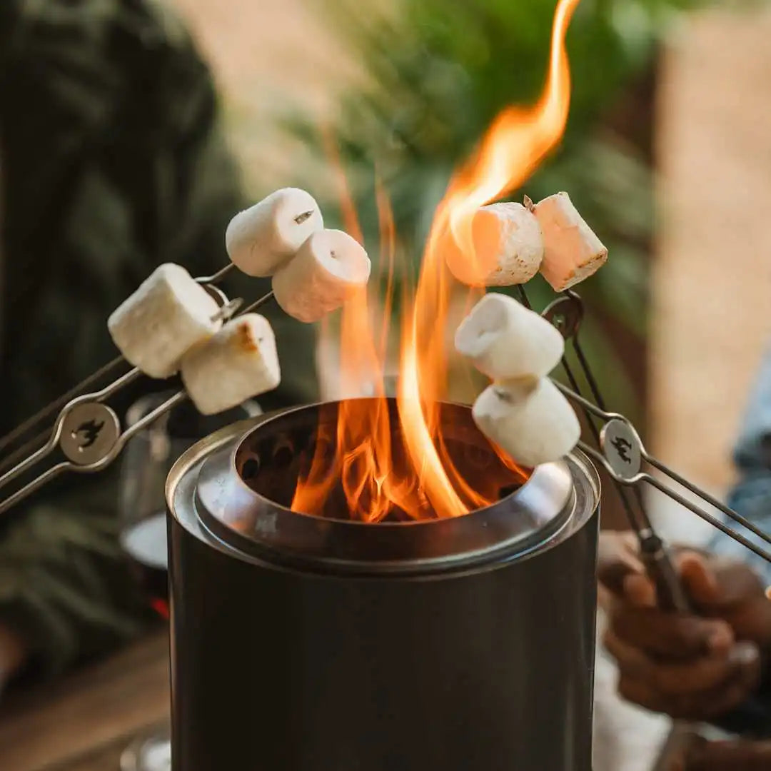 Mini Roasting Sticks